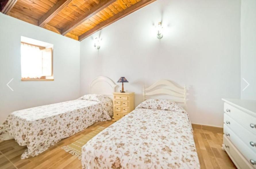 La Casa Del Bisa Villa Genovés Kültér fotó